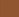 Tortoise Shell